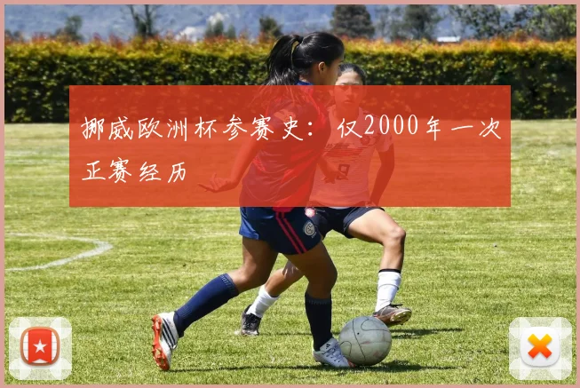 挪威欧洲杯参赛史:仅2000年一次正赛经历