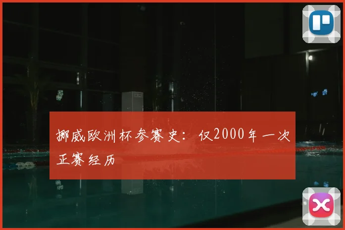 挪威欧洲杯参赛史:仅2000年一次正赛经历