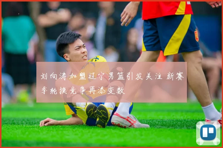 刘向涛加盟辽宁男篮引发关注 新赛季轮换竞争再添变数