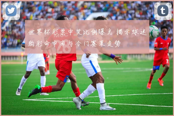 世界杯彩票中奖比例曝光 揭示球迷购彩命中率与冷门赛果走势